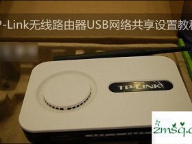 TP-Link无线路由器设置USB网络共享的方法