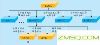 什么是子网掩码？