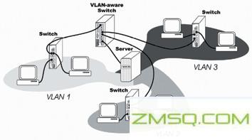 什么是VLAN？