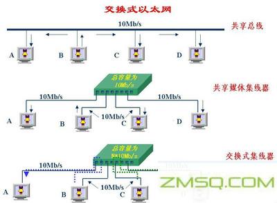 蓝是干什么的？